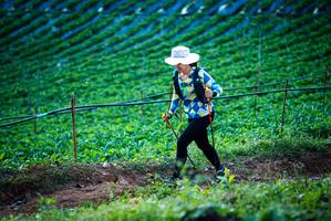 BIB: 
                            <button type="button" onclick="openModal(19160127)" class="btn btn-primary btn-sm float-right btn-popup" data-toggle="modal" data-target=".modal-high-quality">
                        <i class="fas fa-shopping-cart"></i> Add to Cart
                    </button>
                                            <button type="button" onclick="isThisMe(19160127, true)" class="btn btn-success btn-sm float-right btn-popup btn-isme hidden" data-toggle="tooltip" data-placement="bottom" title="นี่คือรูปของคุณใช่ไหม คลิกที่นี่เพื่อเอาเข้าอัลบั้ม">
                        <i class="fas fa-plus"></i> Add to album
                    </button>
                    <button type="button" onclick="isThisMe(19160127, false)" class="btn btn-warning btn-sm float-right btn-popup btn-isnotme hidden">
                        <i class="fas fa-ban"></i> Remove from album
                    </button>